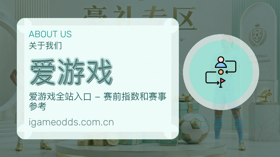 爱游戏服务说明